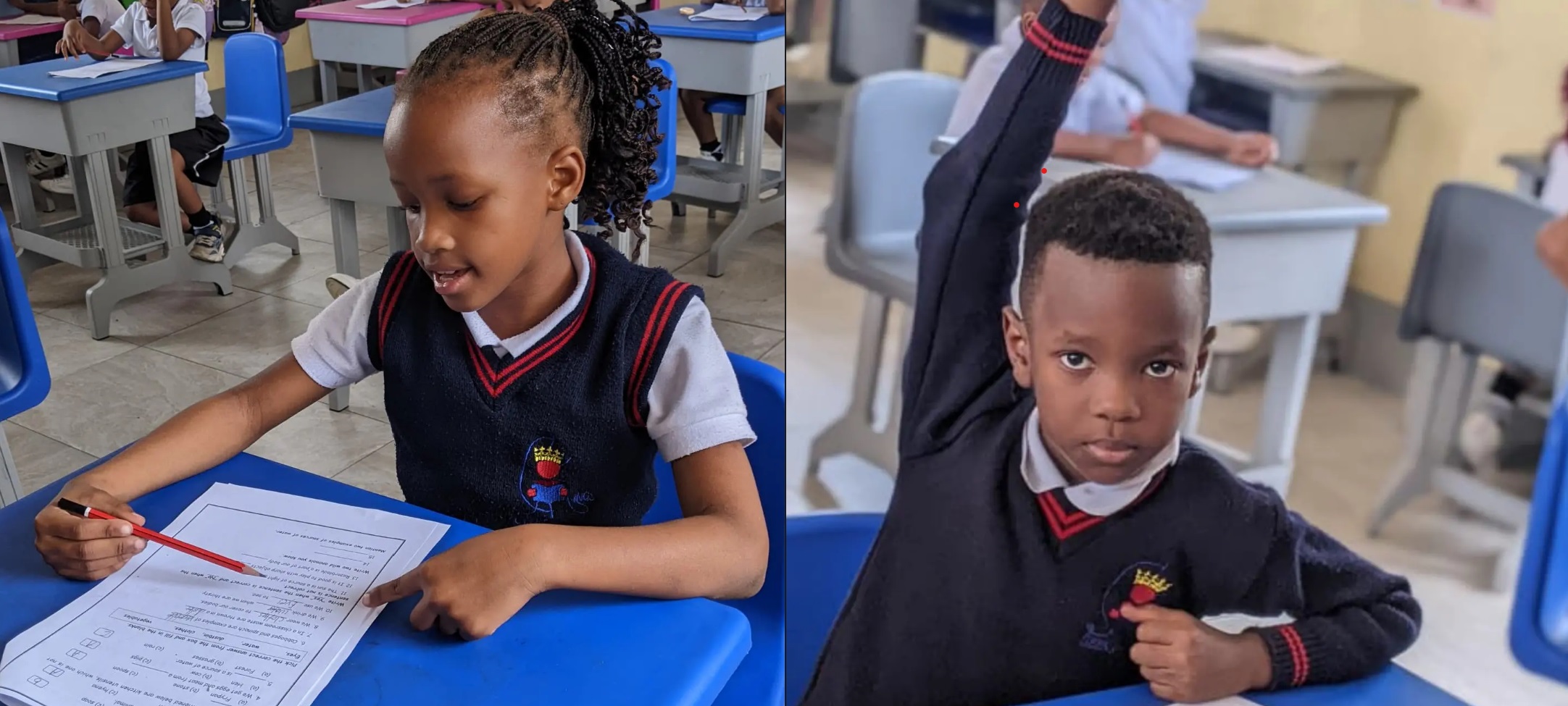 Primary learners